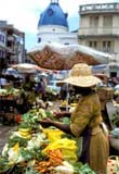 tour a castries santa lucia