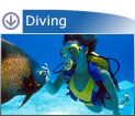 diving-panama